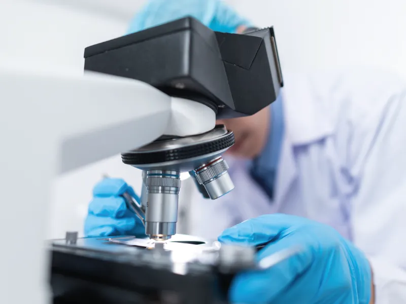 Grupo de investigación ECGESA