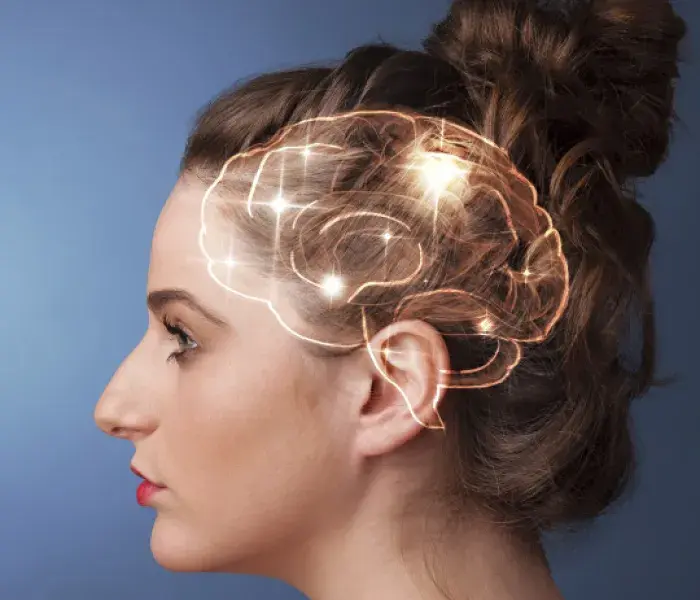 Diplomado online Neurociencia estructural y funcional